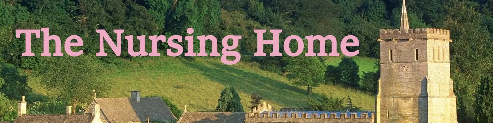 Scrunglyalleycat banner