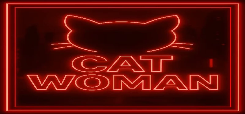 CatWoman - Adult Only